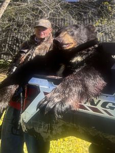 Powerful black bear, proud harvest.